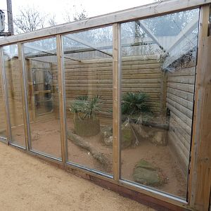 Fennec Fox outdoor enclosure