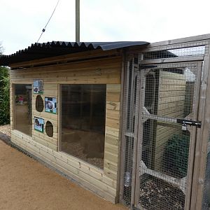 View of Chinchilla enclosure