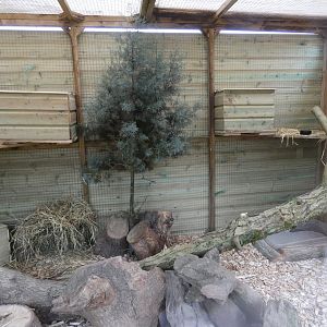 Chinchilla enclosure