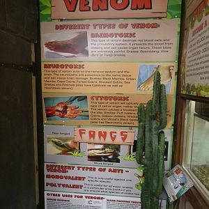 Venom signage