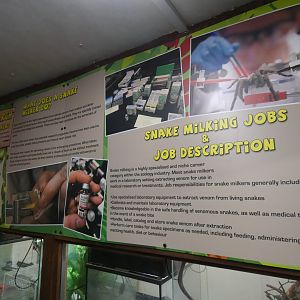 Snake milking signage