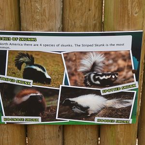 Skunk signage