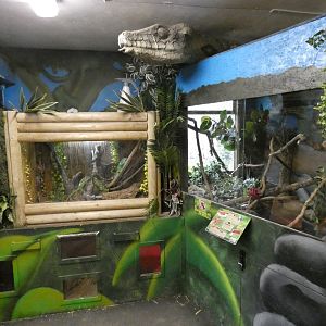 Exhibits in Rainforest house
