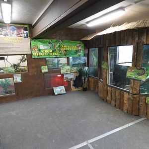 Exhibits in Rainforest House (2)