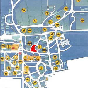 Edinburgh Zoo Map Pre Asiatic Lions