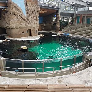 Dolphinarium