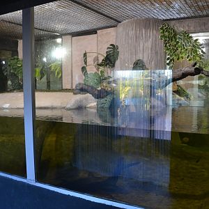 Safari Madrid December 2018 - New anaconda exhibition