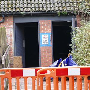 Working on the Nocturnal House, February 2019