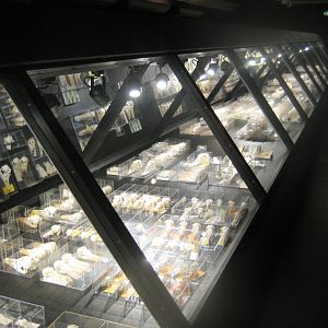 Naturhistorisk Museum Aarhus - "Én mands passion"