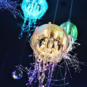 Jellyfish Lights - Sea Jellies Illuminated