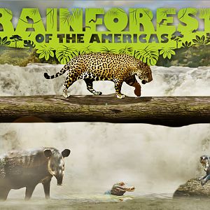 The Rainforest of the Americas Poster/Promo Art - Los Angeles Zoo