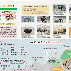 Japan Serow Centre