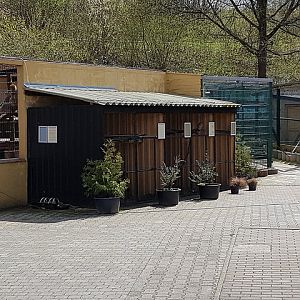 Enclosures for small mammals