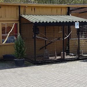 North american porcupine enclosure