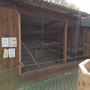 Jungle cat enclosure