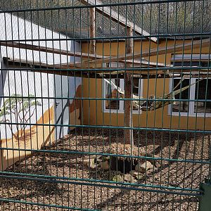 Enclosure for fishing cats