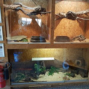 Terrariums for small animals