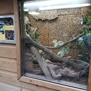 Enclosure Ball python