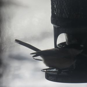 can some one identify please