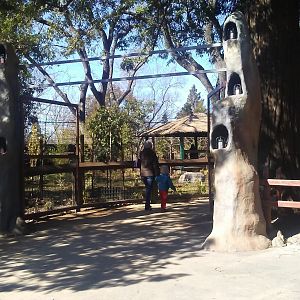 Jurassic Park style entrance gates to okapis