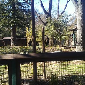 Mo the okapi's exhibit