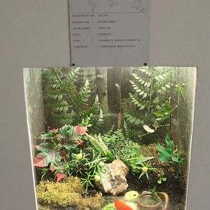 Julus millipede sign and enclosure