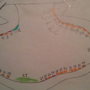 Home-Made Map of the Reptile House