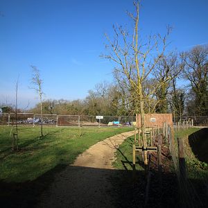 Bear Wood construction in progress