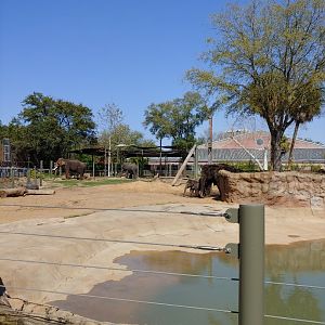 First elephant yard