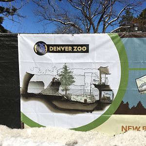 New grizzly bear exhibit design