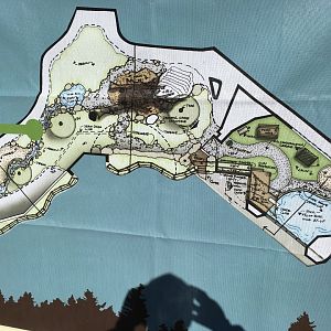 New grizzly bear exhibit design