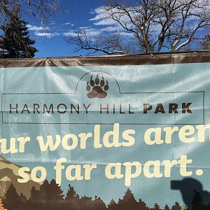 New grizzly bear exhibit name “Harmony Hill Park”