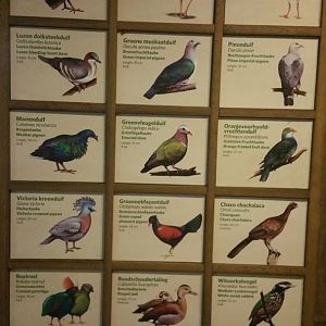 Updated Signage Bush