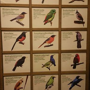 Updated Signage Bush