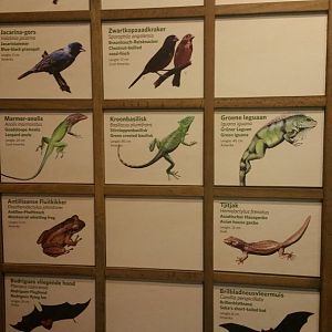 Updated Signage Bush