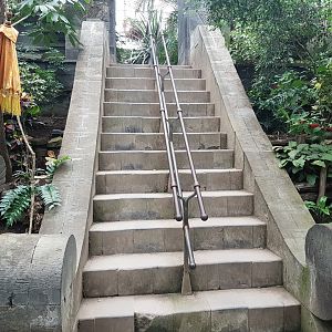 Stairway in the Tropical House