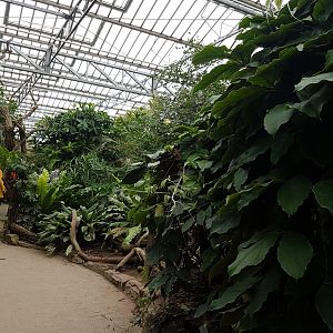 View into the Tropical House