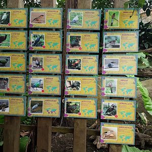 Bird-signs Tropical House