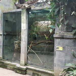 Prevost squirrel enclosure