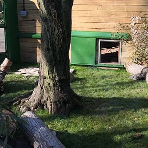 Furnished Dragon Exhibit