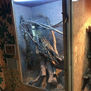 Exhibit within Reptile House 170219