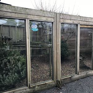 Leopard cat enclosure 170219