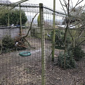 Mixed aviary 170219