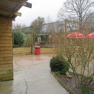 View towards newly extended aviary 170219