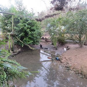 Part of central aviary 170219