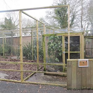 Building of new enclosure 170219