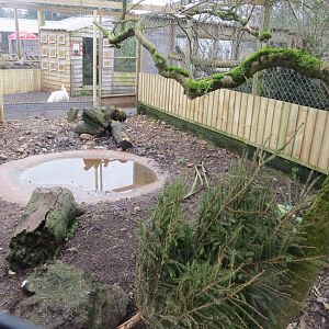 Currently empty exhibit 170219