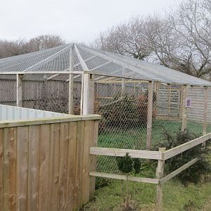 African civet enclosure 170219