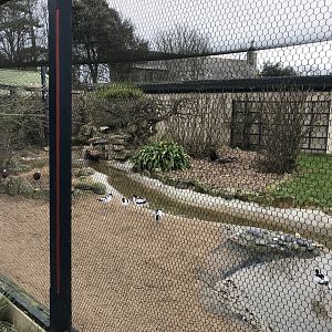 Aviary at entrance 190219