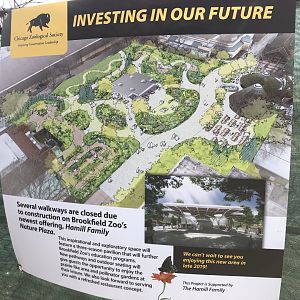 Renovation Plans for Baboon Island